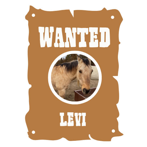 Levi