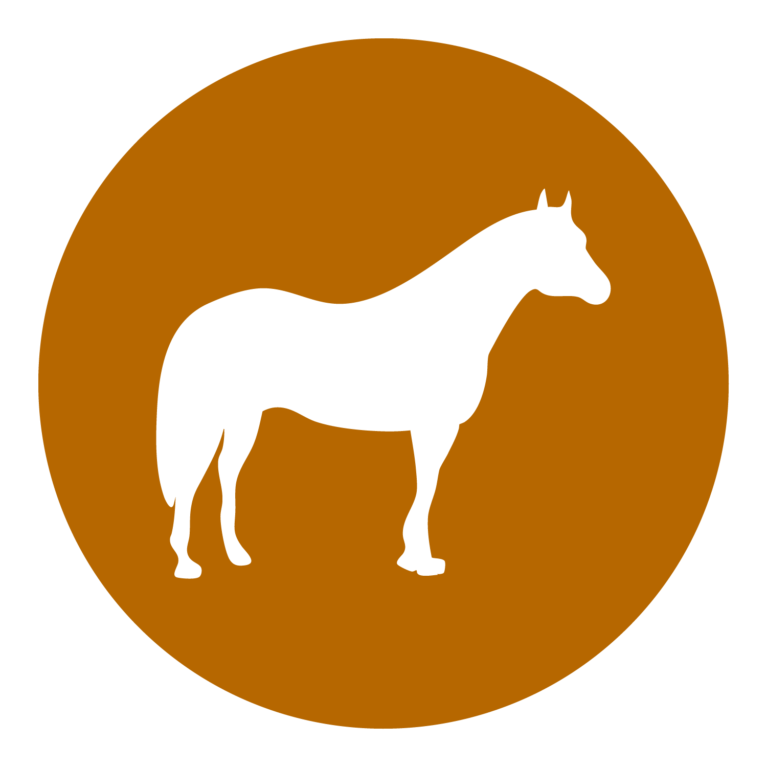 Klein Ranch - Icon - Color